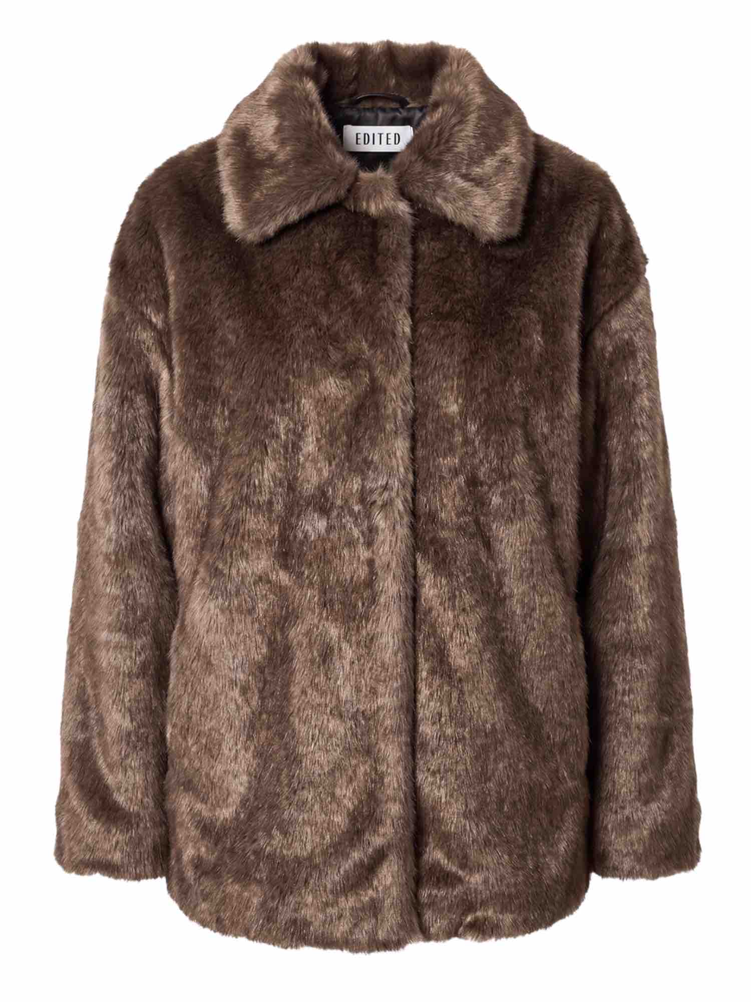 Bay Jacket