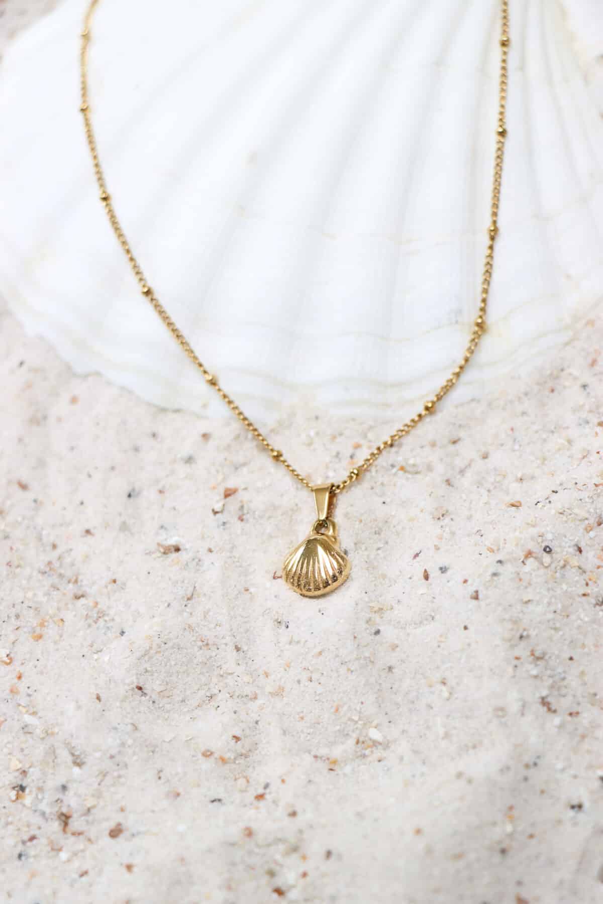 We Shell Sea Necklace Gold