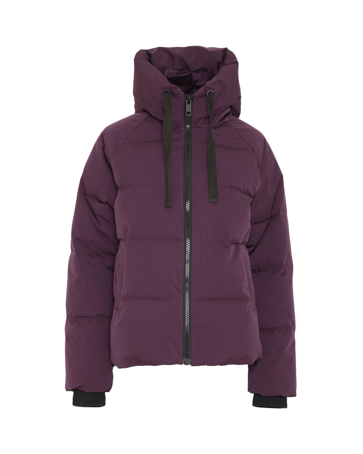 Pavinaria Short Jacket Potent Purple