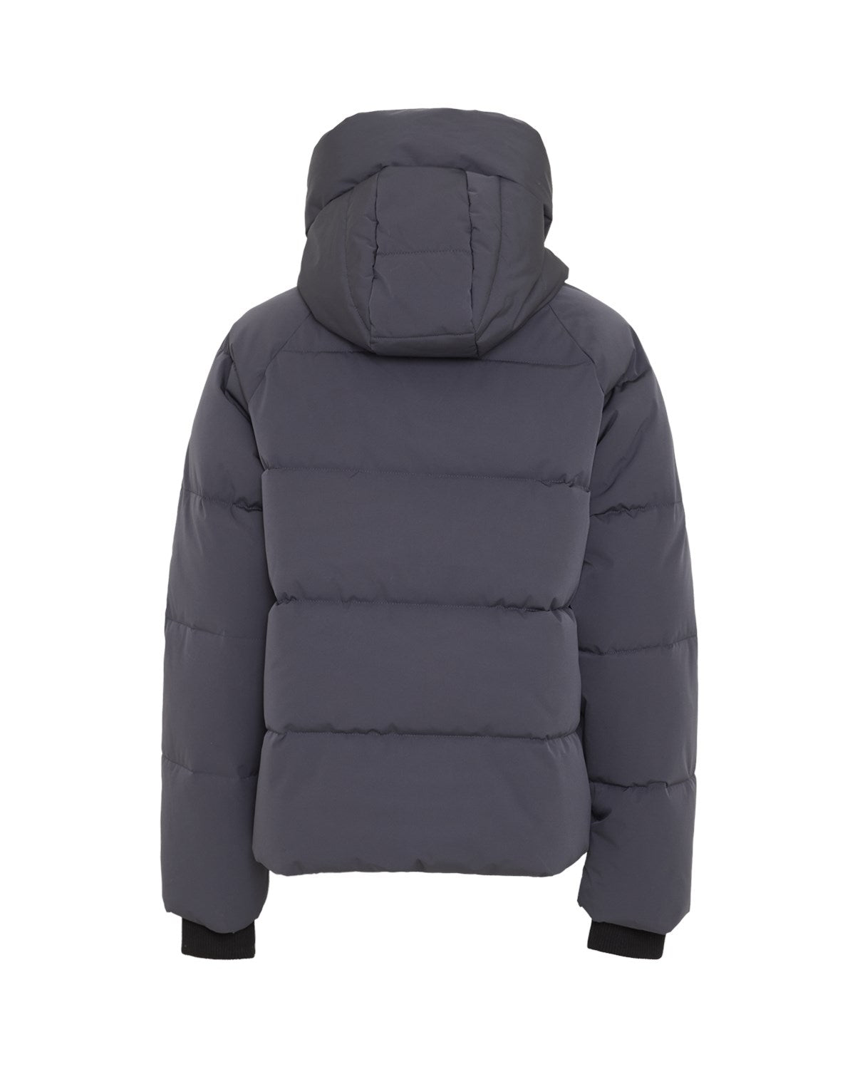 Pavinaria Short Jacket India Ink