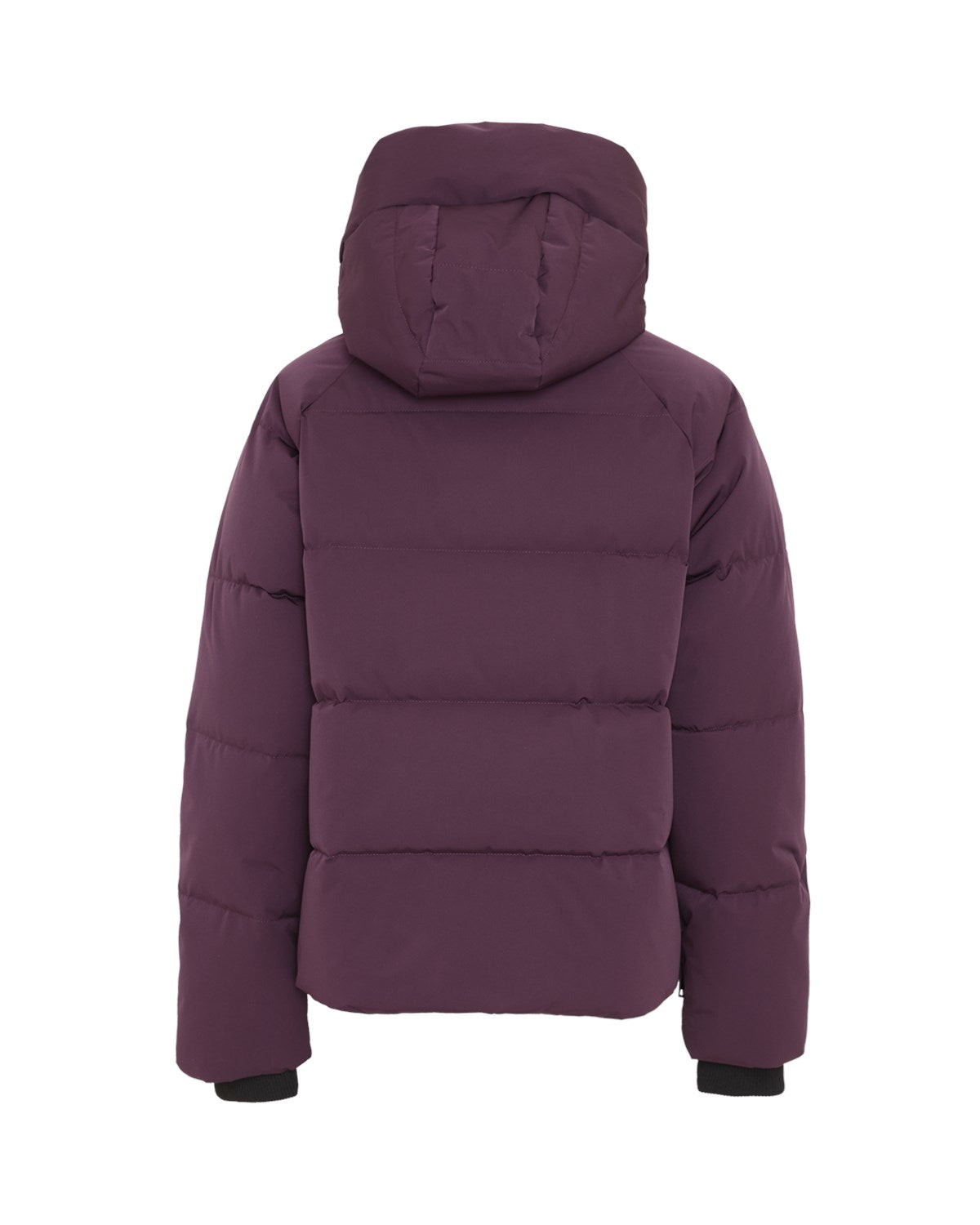 Pavinaria Short Jacket Potent Purple